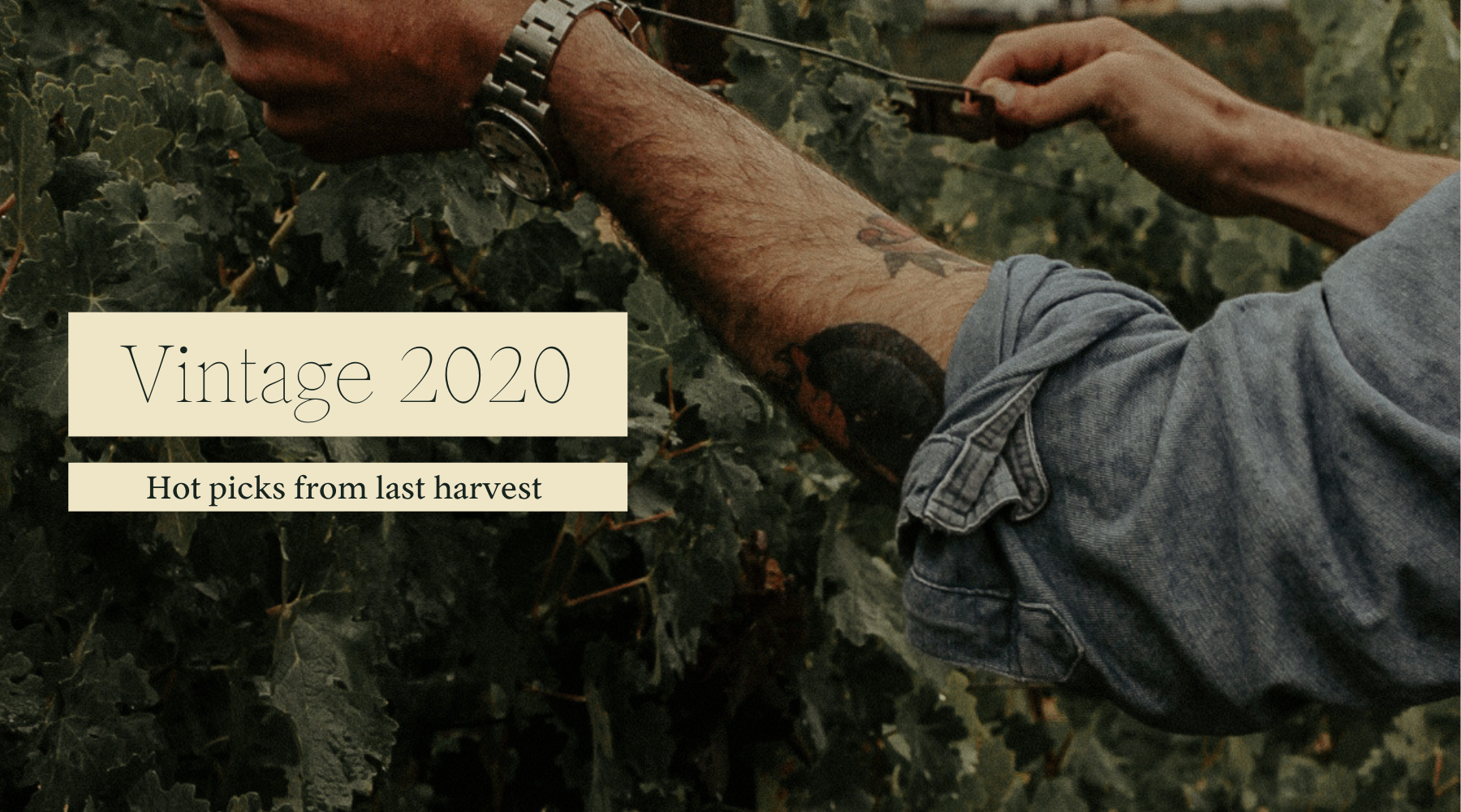 VINTAGE 2020